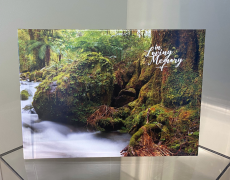 Website photos (2)
